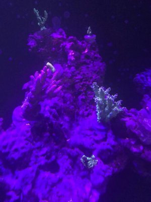IMG_8965.jpg IMG_8965.jpg