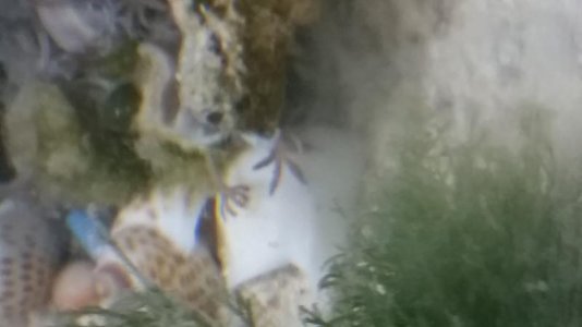 20180215_090852.jpg