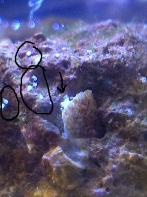 rockthing1.jpg