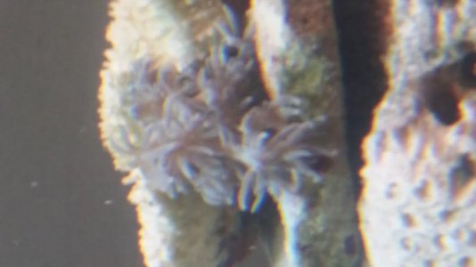 20180215_181558.jpg
