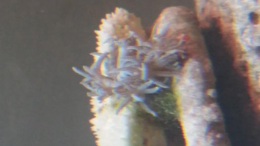 20180215_181603.jpg