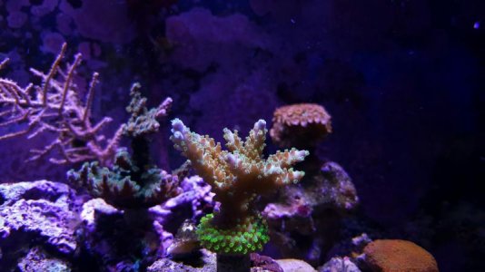 20180210_161349-3984x2241.jpg
