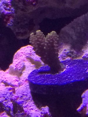IMG_0784.jpg