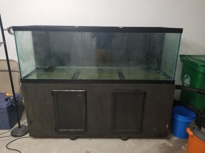 180g Project after first clean.jpg