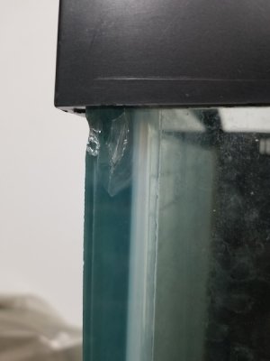 20180129_234620.jpg