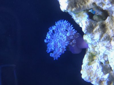 IMG_0361.jpg