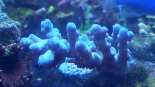 20180217_115545.jpg