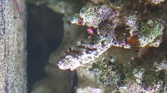 20180131_190824.jpg
