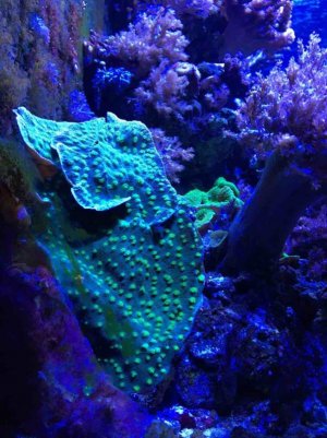 IMG_5938.jpg