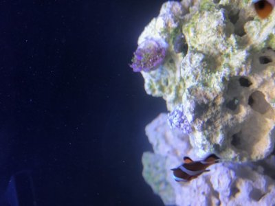 IMG_0394.jpg