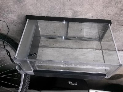CAM01038.jpg