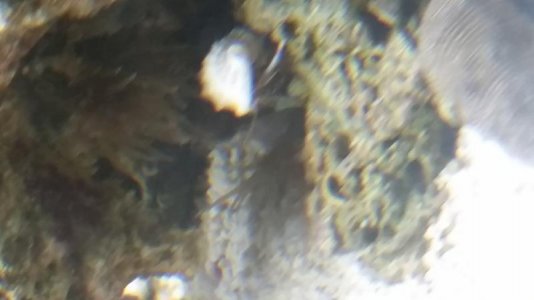 20180202_143832.jpg