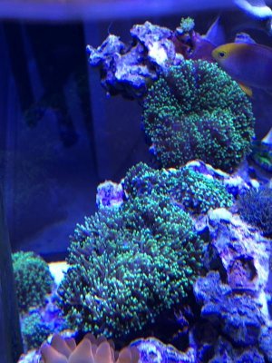 IMG_1049.jpg