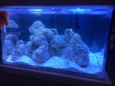 44_water1.jpg