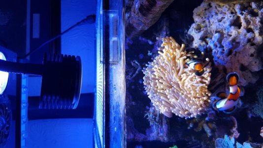 20180221_173611 (2).jpg