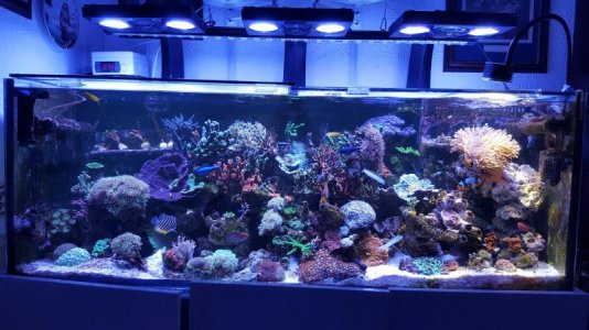 20180221_173538 (1).jpg