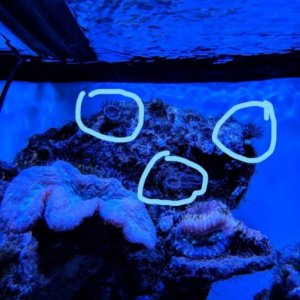 mystery occupant_LI.jpg