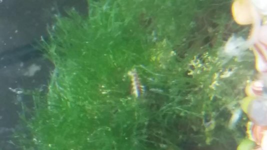 20180204_220711.jpg