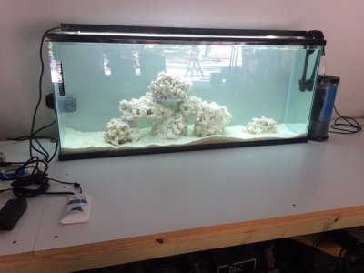 55gal1.jpg