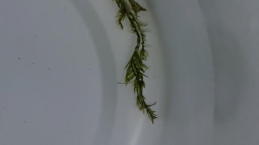 20180223_134931.jpg