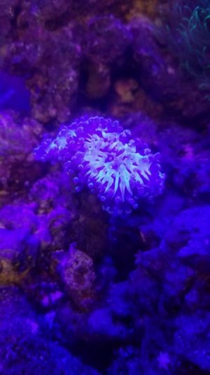 20180206_201656.jpg