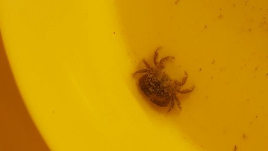 20180224_144853.jpg