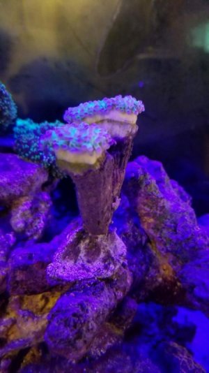 20180206_201648.jpg