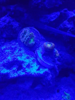 IMG_20180111_191324.jpg