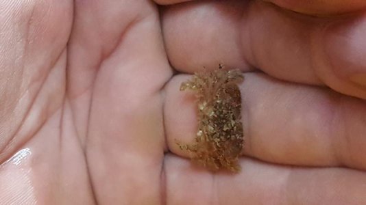 20180224_154154.jpg