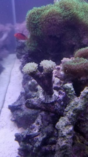 imagejpeg_0_1519513188658.jpg