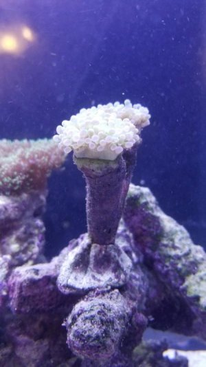 20180224_163631_1519513182114.jpg