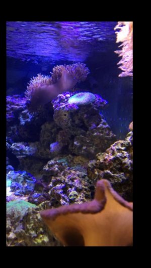 IMG_3029.jpg