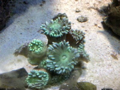 IMG_0917.jpg