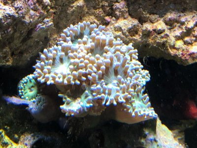 IMG_0918.jpg