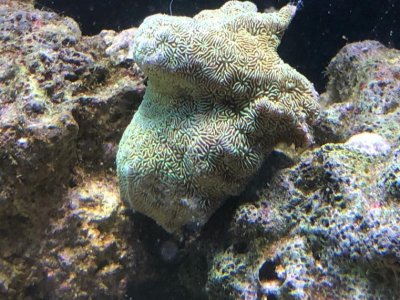 IMG_0923.jpg