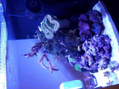 IMG_20180227_200352.jpg