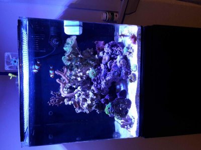 IMG_20180227_200316.jpg