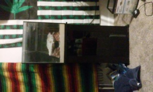 20180329_214001.jpg