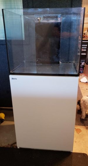 20180419_100308.jpg