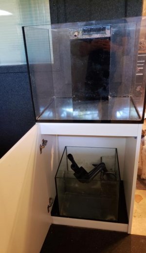 20180419_100336.jpg