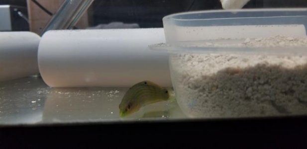 20180301_180122.jpg