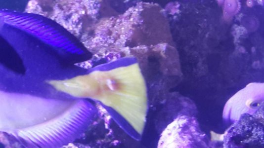 20180422_102706.jpg
