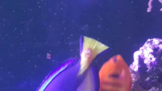 20180422_102623.jpg