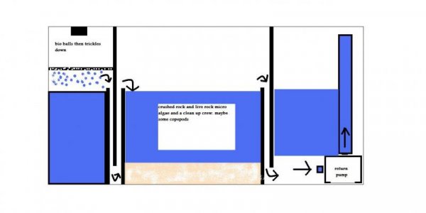 fuge_design.jpg
