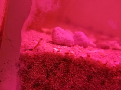 20180210_230412.jpg