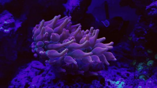 20180425_120102-3547x1995.jpg