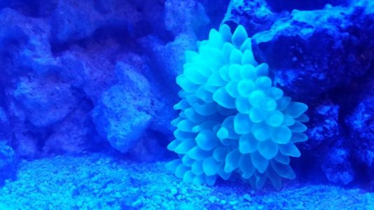 20180228_205828.jpg