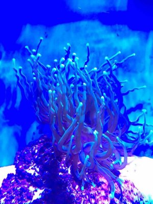IMG_2344.jpg