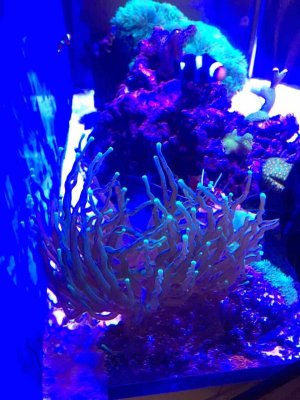 IMG_2345.jpg
