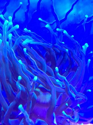 IMG_2346.jpg